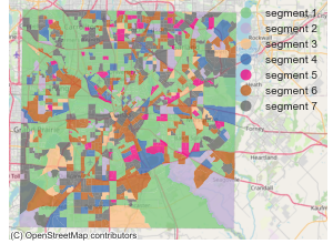 Figure One: Dominant Segment for Census Block Groups in Texas